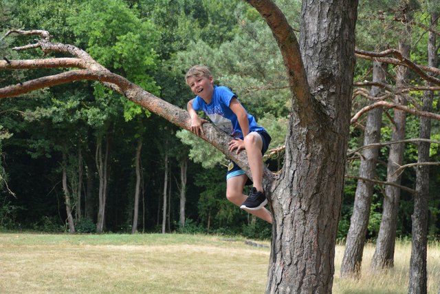 Dominik Illing ließ es sich nicht nehmen, im Föhrenhain einen Baum zu erklimmen.