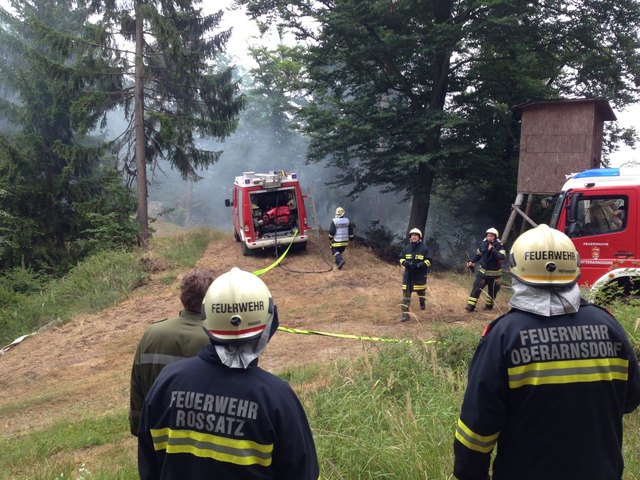 Viele Feuerwehren halfen zusammen, um den Waldbrand zu löschen.
