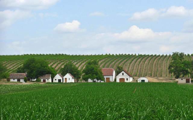 Roselsdorf liegt im Bezirk Hollabrunn.