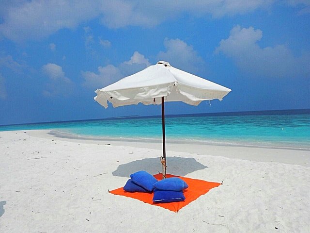 Die App "Aviary" ist sehr einfach zu bedienen und liefert schöne Ergebnisse.