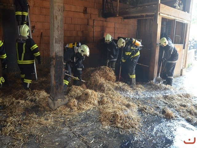 Die Raaber Feuerwehr hatte den Brand schnell im Griff.