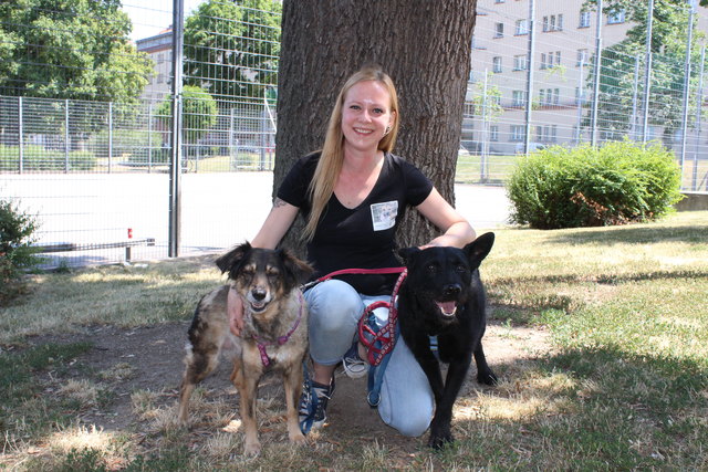 Karolina Dudzinski hat selbst zwei Hunde – Amy und Louis – bei sich aufgenommen.