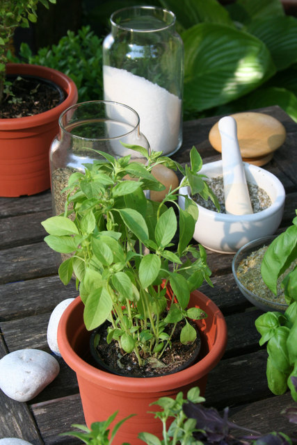 Foto: „Natur im Garten“ / Joachim Brocks