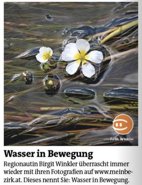 Ich freue mich riesig über den Abdruck in der Print-Ausgabe :)