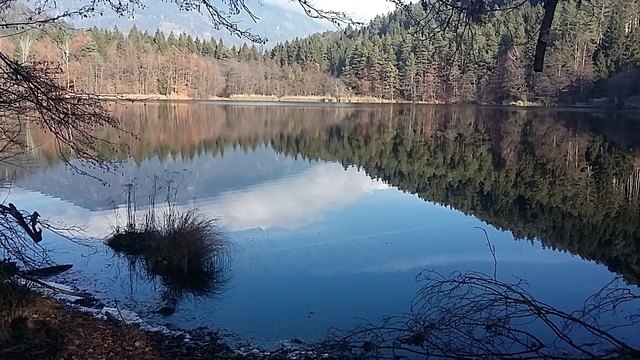 Die Wasserrettung war als erster vor Ort | Foto: KK/Otmar Schmölzer