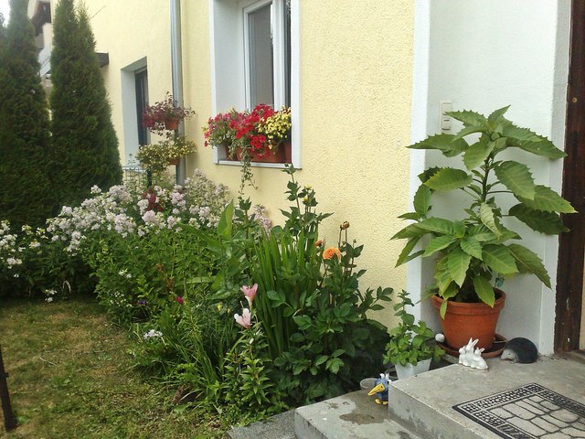 der wilde Flocks nimmt ganz schön viel Platz ein.