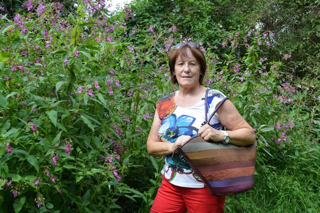 Irmgard Schnederle inmitten von Drüsigem Springkraut. | Foto: Talkner