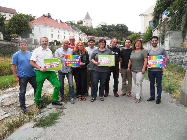 Ewald Gärber, Martin Litschauer, Walter Kogler, Andreas Piringer, Anita Stemberger-Chabek, Thorsten Jojart, Sandra Mayer, Ferdinand Kammerer, Manfred Stattler, Silvia Moser und der Landesgeschäftsführer der Grünen NÖ Hikmet Arslan