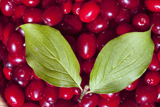 genau richtig für Marmelade