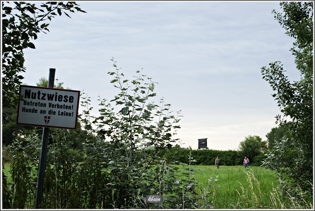 Nutzwiese mit Hund benutzen ??? Schade das diese armen "HUNDE" nicht lesen können!!