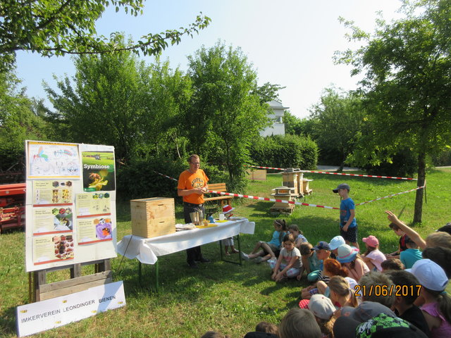 Die Kinder der Volkschule Doppl am "Tag des offenen Bienenstocks" beim Imkerreiverein Leonding. | Foto: Bäck