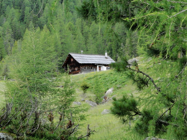die Bärenaualm