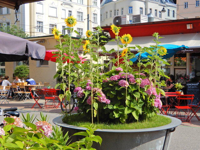 Karmelitermarkt in der Leopoldstadt