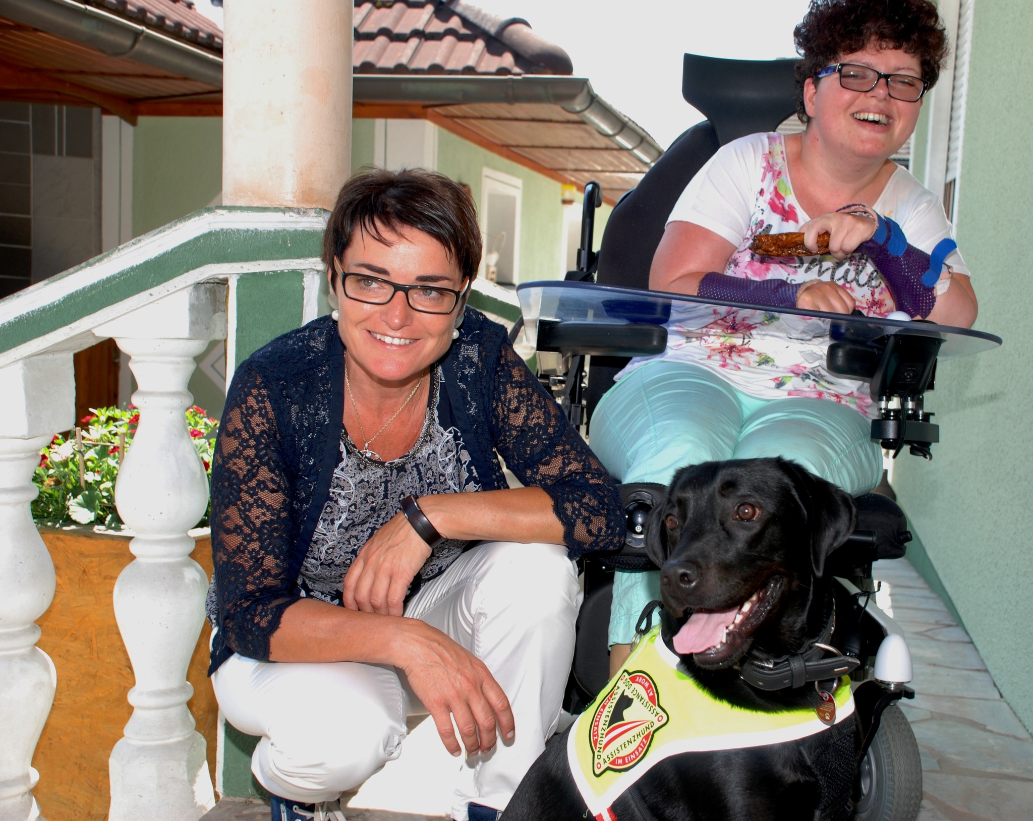 EIN TREUER, ZUVERLÄSSIGER BEGLEITER UND HELFER - Völkermarkt