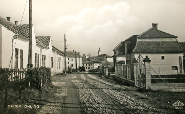 Foto: Riegler