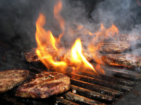 Die Kremser Feuerwehr weiß wie sicher gegrillt wird.