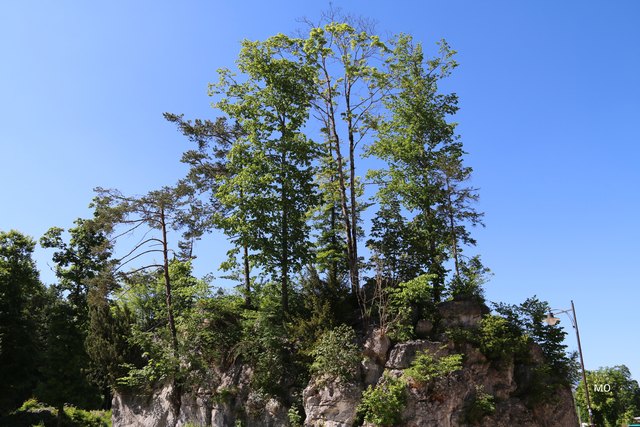 Schönau am Königssee