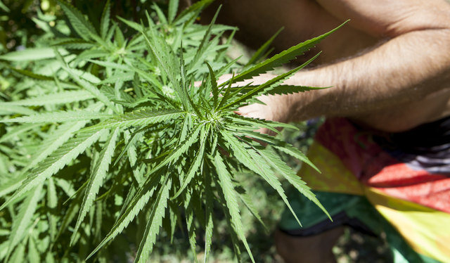 In einem Bus fanden die Polizeibeamten Marihuana. | Foto: panthermedia/jgaunion