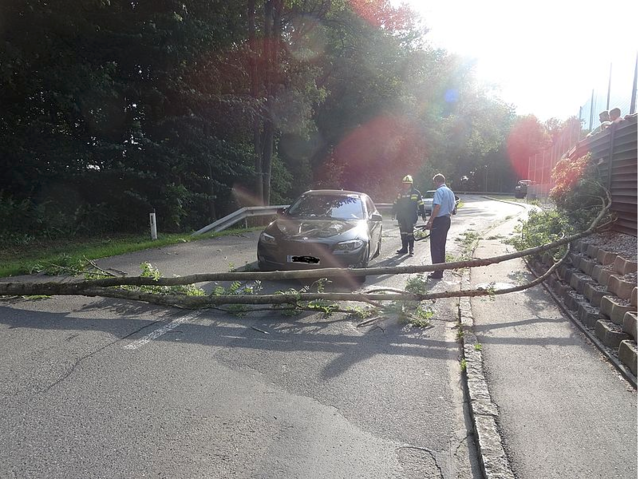 Mittwoch Nachmittag fiel ein Baum auf ein fahrendes Auto. | Foto: FF Saxen