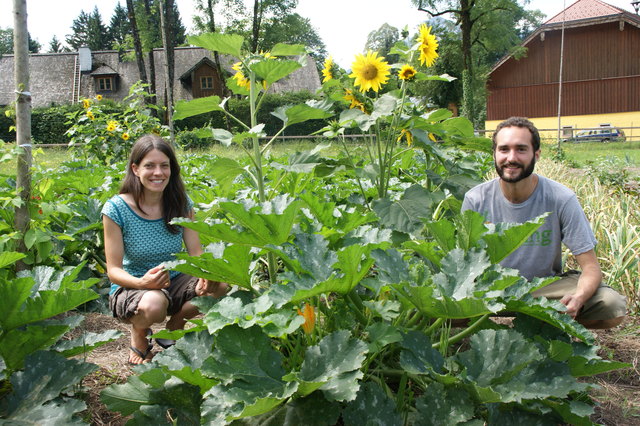 Die Salzburger "Erdlinge" Antonia Osberger und Christian Steinbichler ernten ihr selbst angebautes Gemüse.