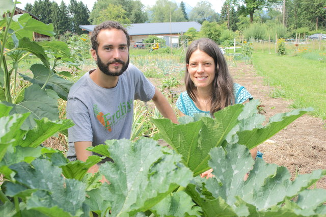Die Salzburger "Erdlinge" Antonia Osberger und Christian Steinbichler ernten ihr selbst angebautes Gemüse.