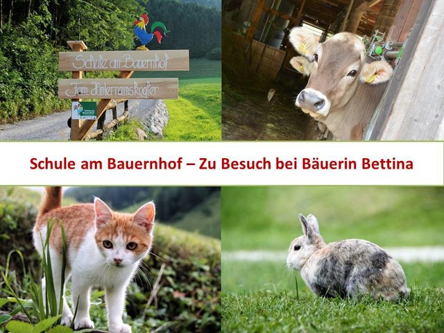 Schule am Bauernhof bei Fam. Hinterramskogler in Hollenstein an der Ybbs bot beim Ferienprogramm ein tolles praxisnahes Programm