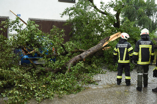 Baum fiel auf Auto in Ohlsdorf. | Foto: Wolfgang Spitzbart