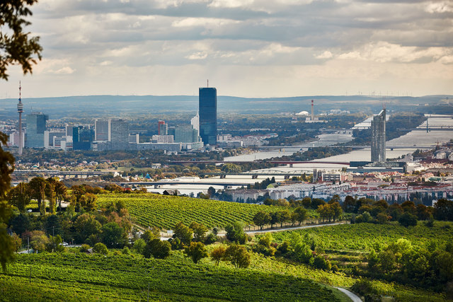 Die Winzer erfreuen ihre Besucher nicht nur mit einem Spritzer oder einem Achterl Gemischten Satz, sondern auch mit dem passenden Ambiente.