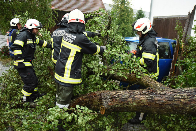Baum fiel auf Auto in Ohlsdorf. | Foto: Wolfgang Spitzbart