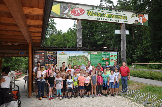 Der Bezirksjugendchor Völkermarkt in der Walderlebniswelt am Klopeiner See | Foto: KK