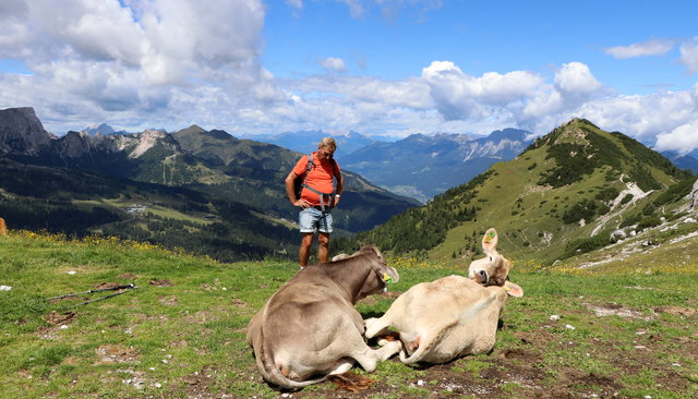 o mei o mei..schon wieder so a .Wanderer..nie hat man seine Ruhe hier oben...ich kann sie nimma sehen