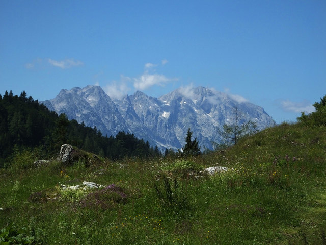 Almwiese mit Blick zum Hohen Göll