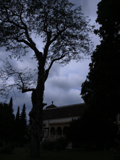 Ein Gewitter zieht auf...