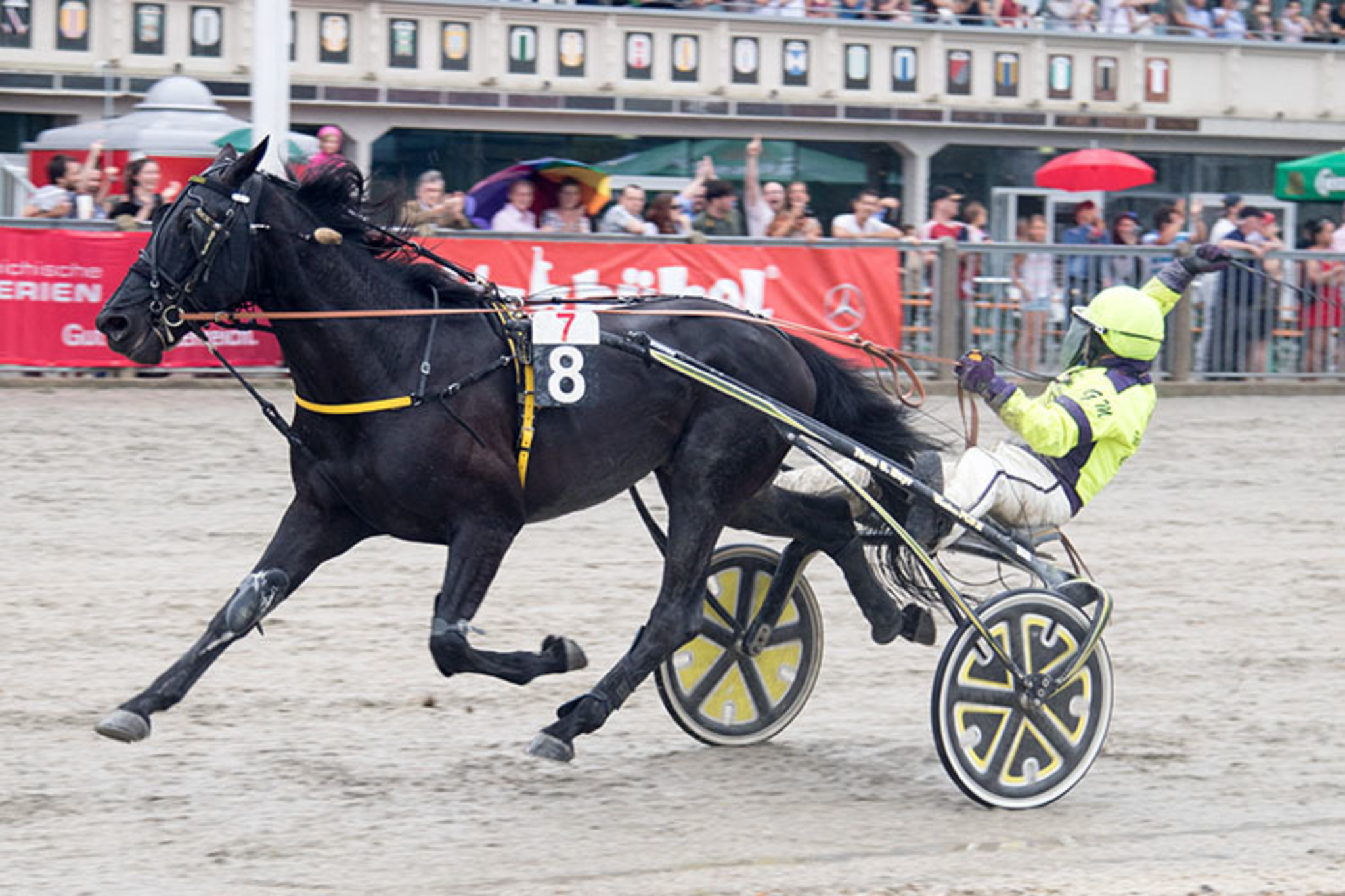 Niederndorfer Traber gewinnt das Österreichische TraberDerby 2017