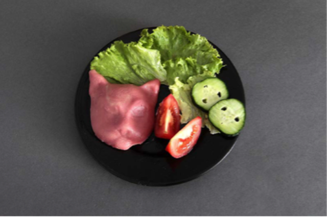 Studentin Laura Burtscher hat sich mit In-Vitro-Fleisch beschäftigt. Die Idee ist, Fleisch außerhalb des tierischen Körpers zu züchten. Dabei wird dem Tier eine Stammzelle schmerzfrei entnommen und in einer Nährlösung vervielfältigt. Es wächst ein Gewebe, welches als Lebensmittel verwendet werden kann.