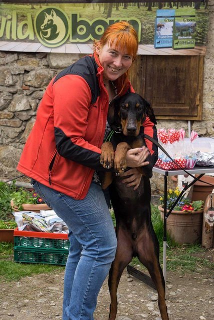Sandra Stibi, Obfrau des Tierschutzvereins "Stibis Hundeparadies", ist derzeit auf der Suche nach einer neuen Bleibe für Hunde, die immer wieder bei ihr abgegeben werden und auf ein neues Herrchen warten.