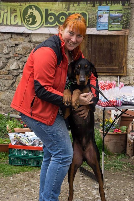 Sandra Stibi, Obfrau des Tierschutzvereins "Stibis Hundeparadies", ist derzeit auf der Suche nach einer neuen Bleibe für Hunde, die immer wieder bei ihr abgegeben werden und auf ein neues Herrchen warten. | Foto: KK