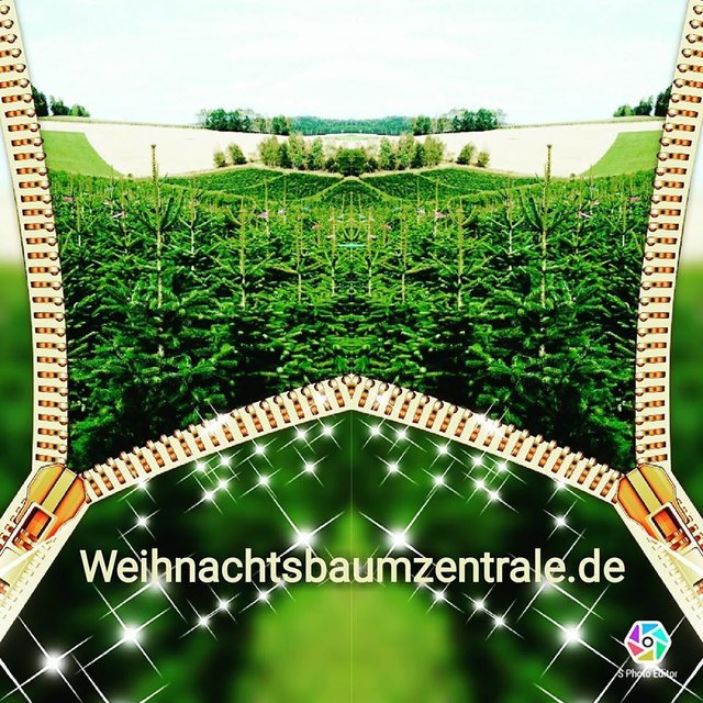 https://www.weihnachtsbaumzentrale.de/%C3%BCber-uns/