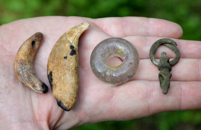 Interessante Fundstücke: Bärenzähne, die als Amulett dienten, ein ringförmiger Glas-Anhänger und ein Stück eines bronzenen Kettengürtels. | Foto: Dietrich