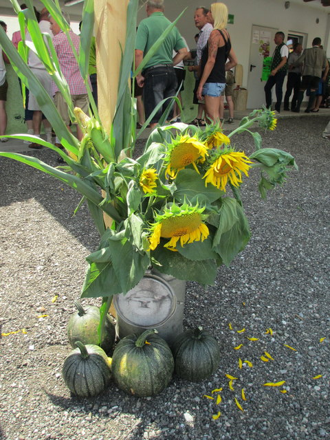 Die hübsche Dekoration.