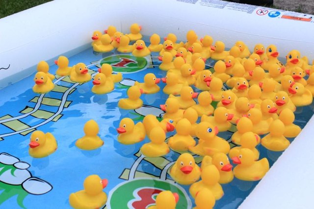 Mit der Entenschar im Pool werden täglich die Gewinner der Sachpreise ermittelt.