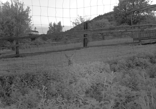 Foto: Tobias Teuschl