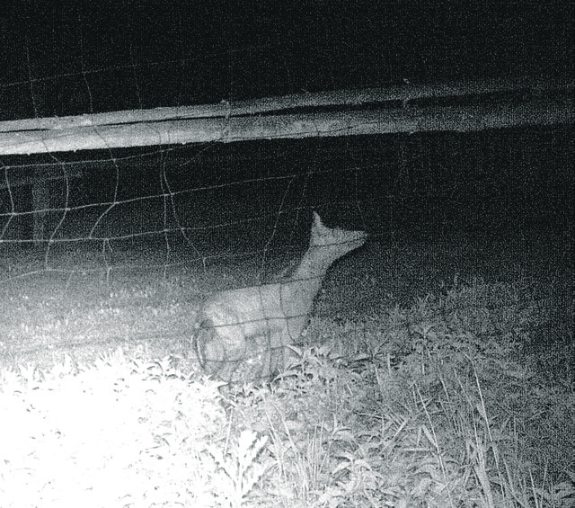 Foto: Tobias Teuschl