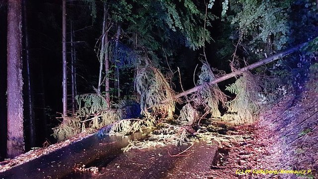 Auf vielen Straßen lagen umgestürzte Bäume an diesem Wochenende. | Foto: Ninaus