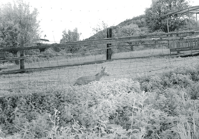 Foto: Tobias Teuschl