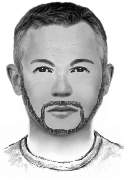 Die Polizei bittet um HInweise. Wer hat diesen Mann gesehen? | Foto: Phantombild: LPD NÖ