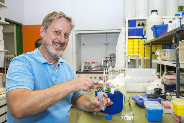 Salzburger Biologe sucht Mittel gegen trockenbedingte Ernteausfälle