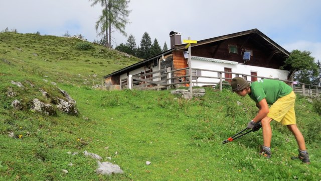 Das Pflegen und Freihalten der offenen Almflächen ist eine wichtige Arbeit. | Foto: Wintereder