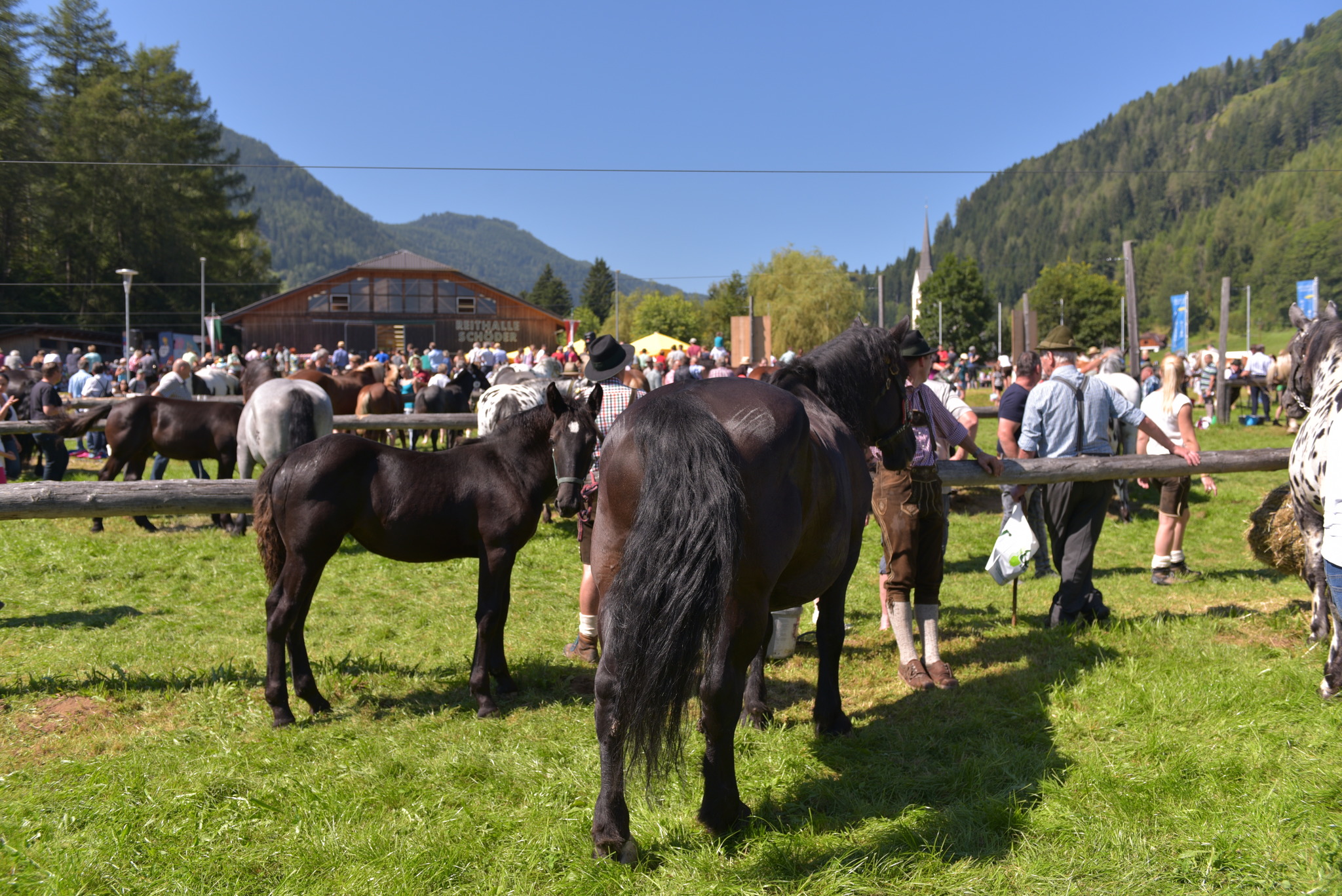 Pferdemarkt in Schöder 2017 - Murau