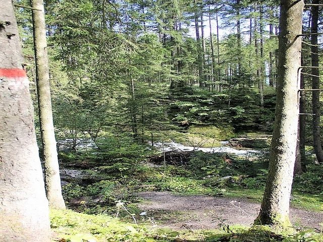Foto: HKroBild